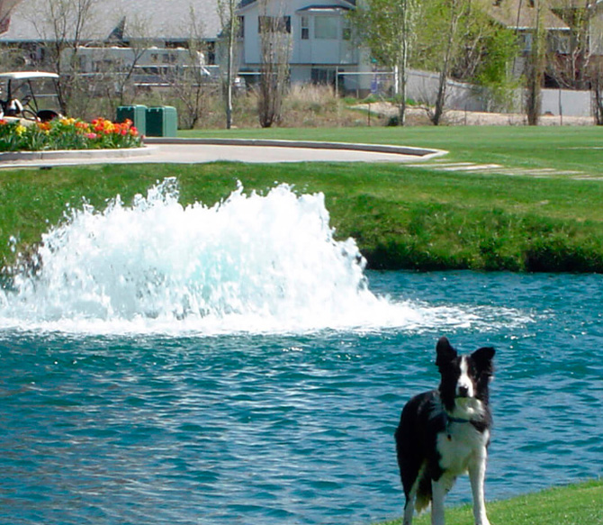 AIREADORES INDUSTRIALES